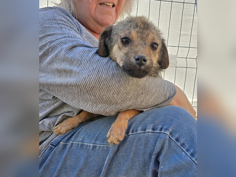 Anne - jung und neugierig