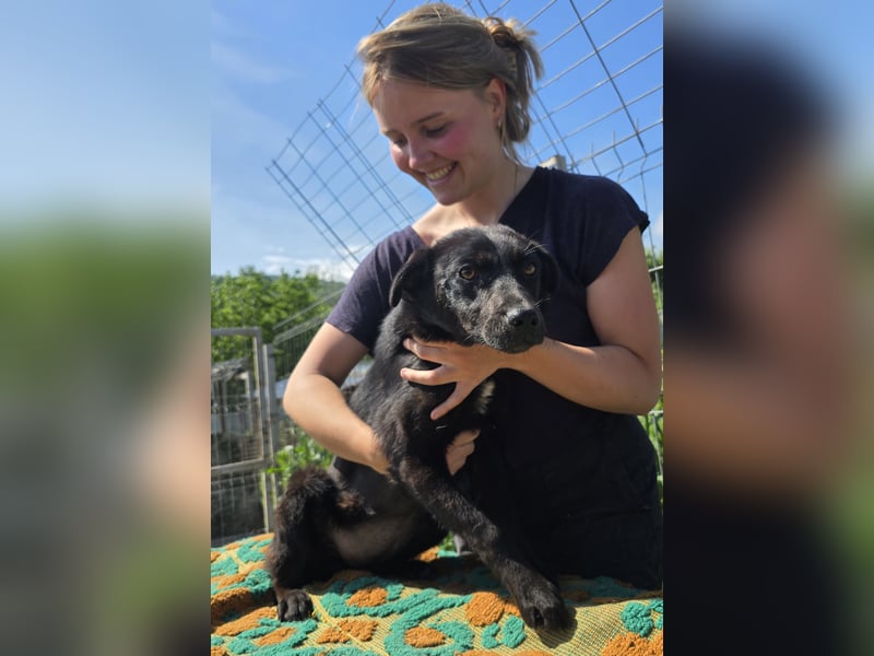 Mavie - freundlich und interessiert