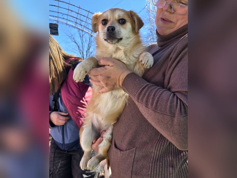 Lotte - gut verträglich - BEREITS IN DEUTSCHLAND