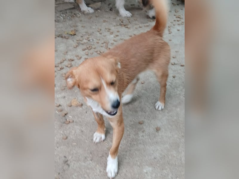 Boomer - neugierig und interessiert