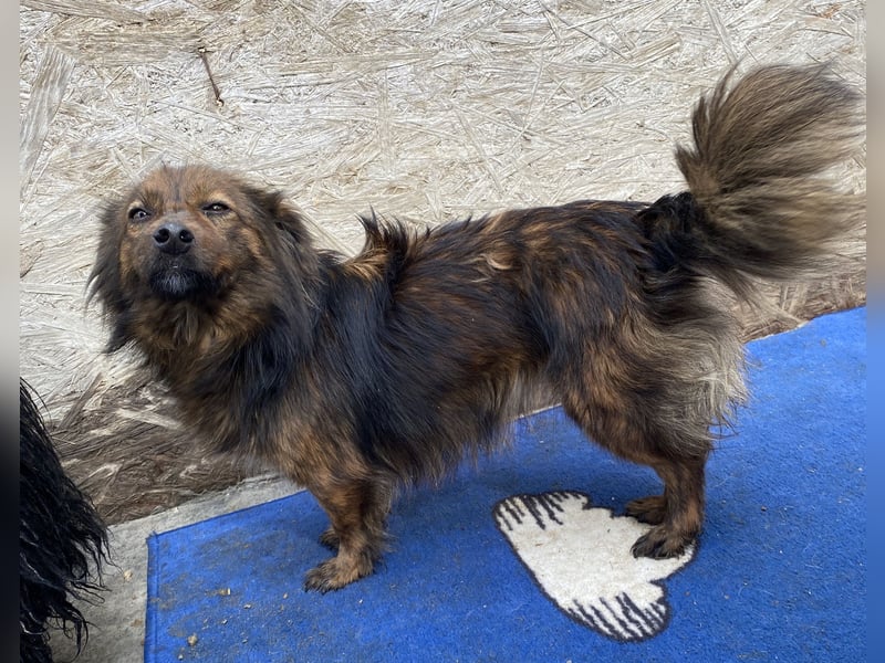 Jona - sanft und neugierig