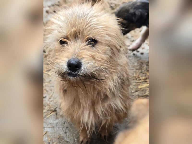 Betty - freundlich und neugierig