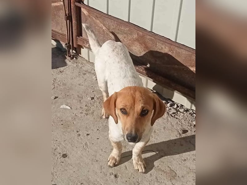 Vanja - neugierig und interessiert