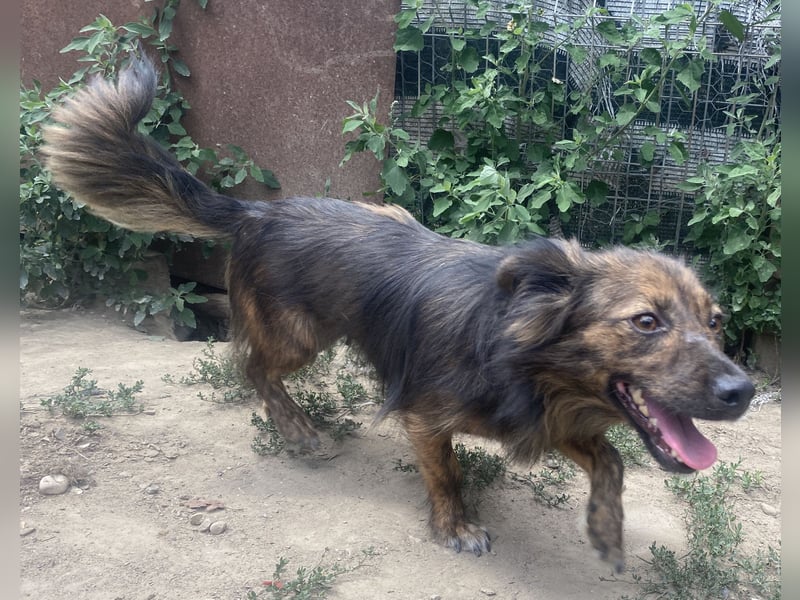 Jona - sanft und neugierig