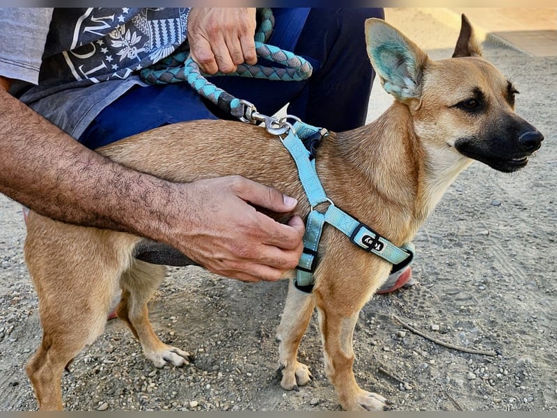 Margarita, aufmerksam, lernwillig und neugierig