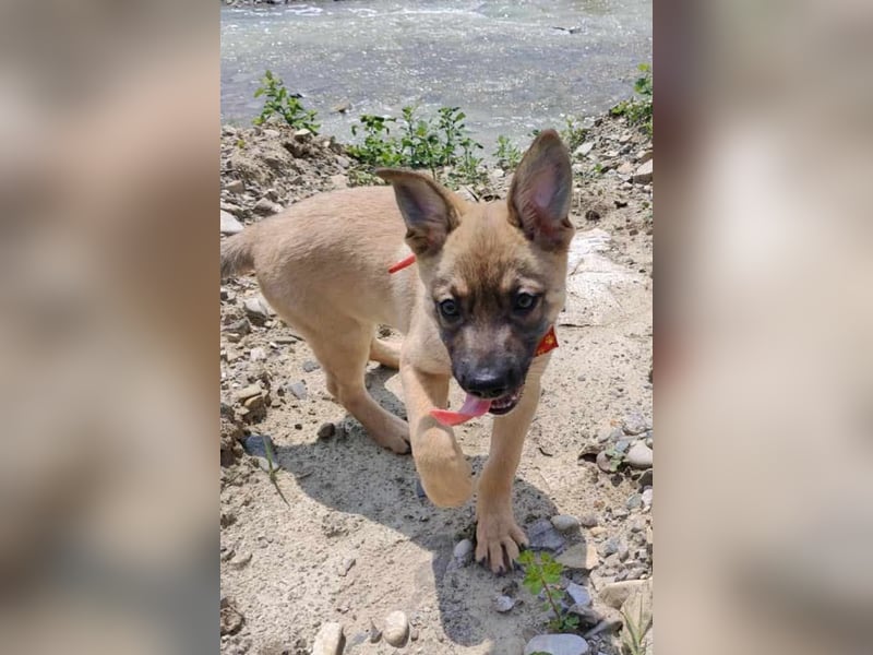 Zino - menschenbezogen und neugierig