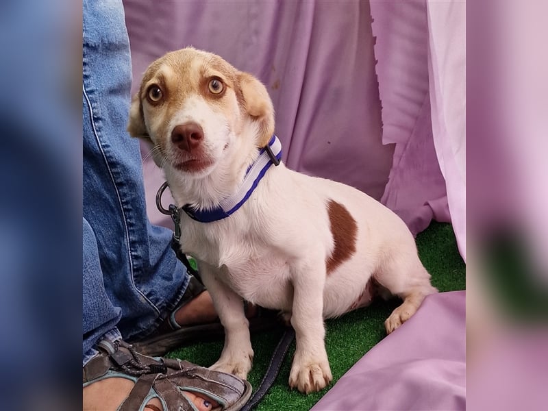 Katy - vorsichtig und verschmust