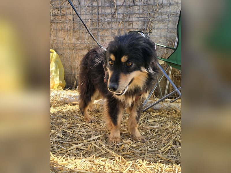 Lio - vorsichtig und neugierig