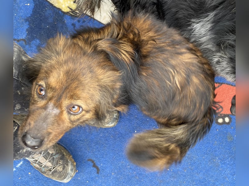 Jona - sanft und neugierig