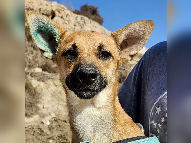 Margarita, aufmerksam, lernwillig und neugierig