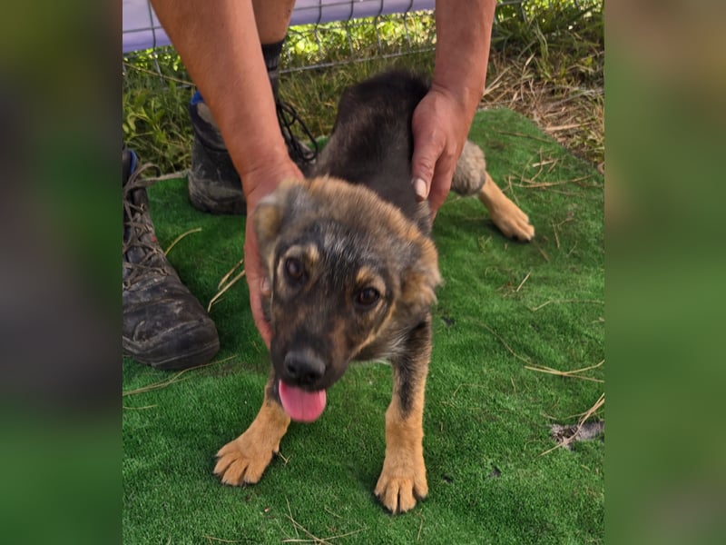 Nuri - jung und aufgeweckt