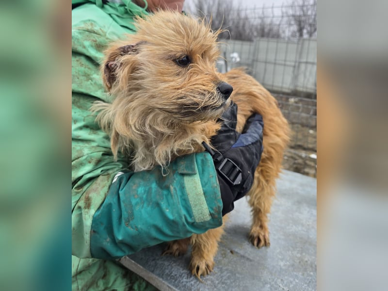 Betty - freundlich und neugierig