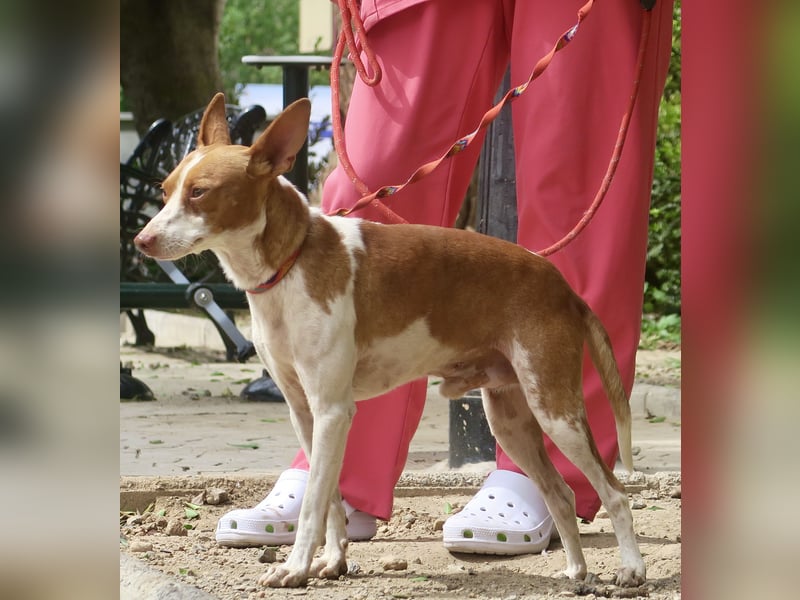 Genaro, bewegungsfreudig, lernwillig, respektvoll