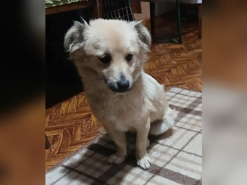 Jana -jung und neugierig