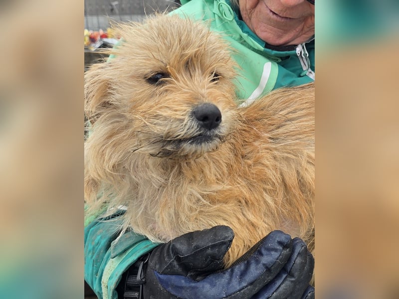Betty - freundlich und neugierig