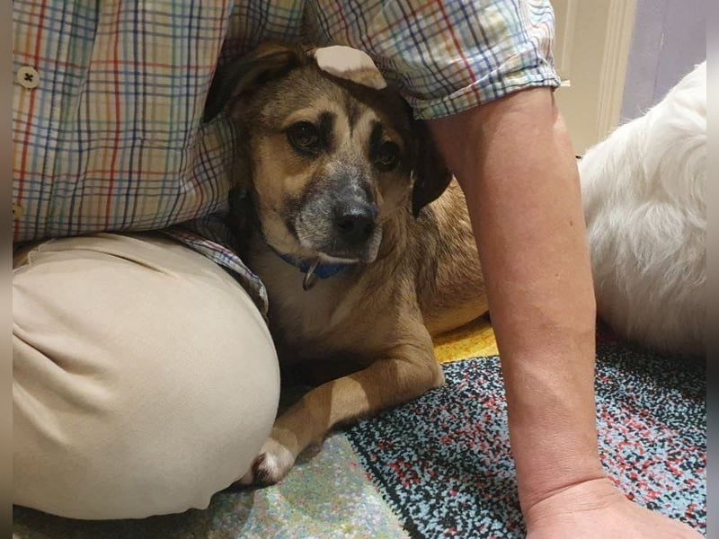 Caya - neugierig und verträglich - BEREITS IN DEUTSCHLAND