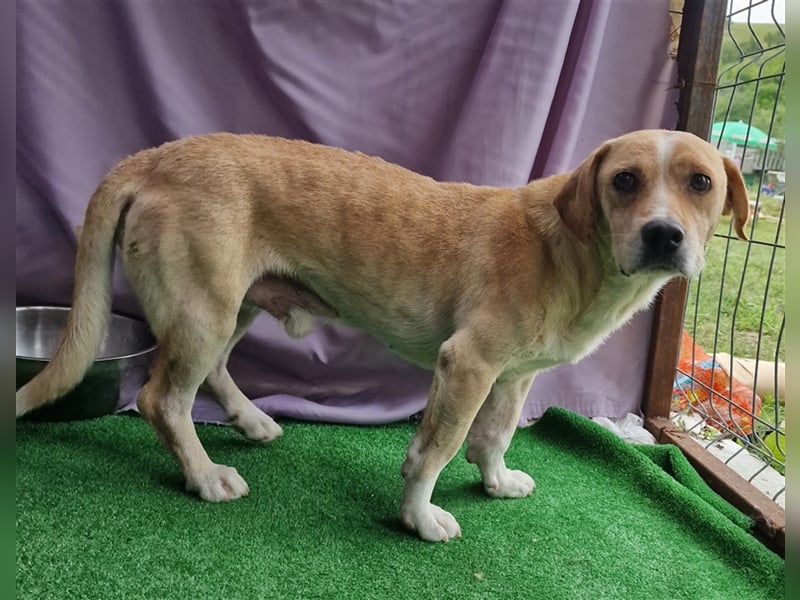 Ole - freundlich und neugierig Ole - freundlich und neugierig