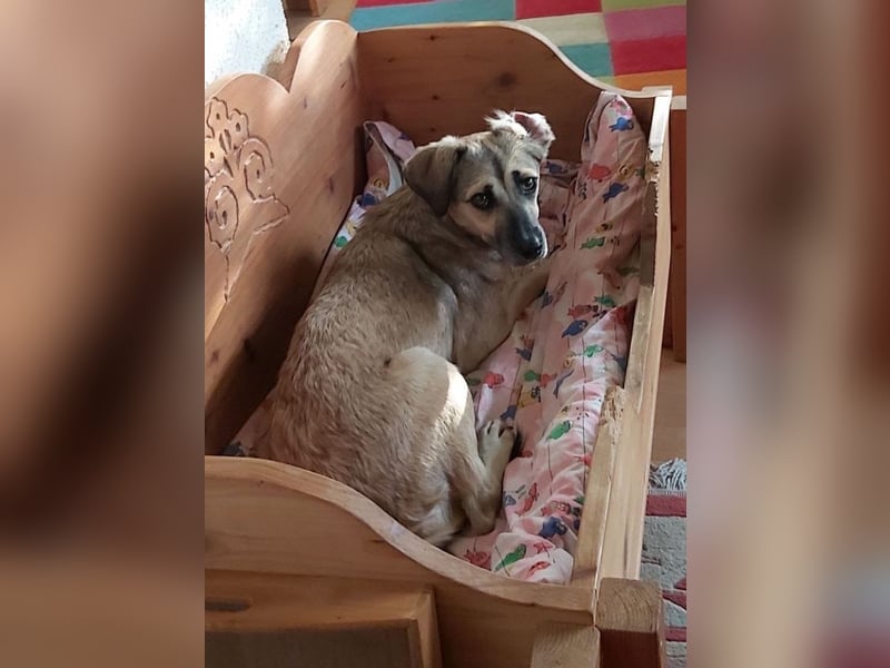 Caya - neugierig und verträglich - BEREITS IN DEUTSCHLAND