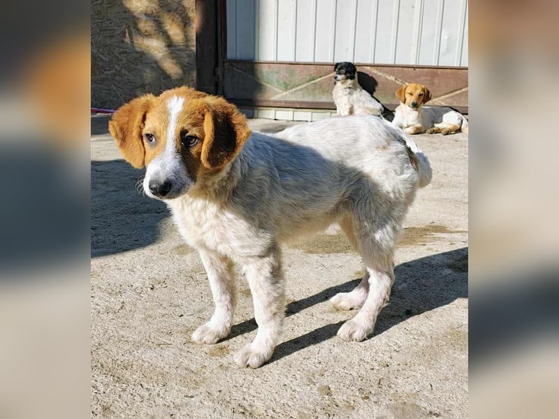 Lucy - jung und neugierig Lucy - jung und neugierig