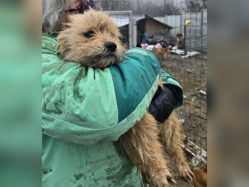 Betty - freundlich und neugierig
