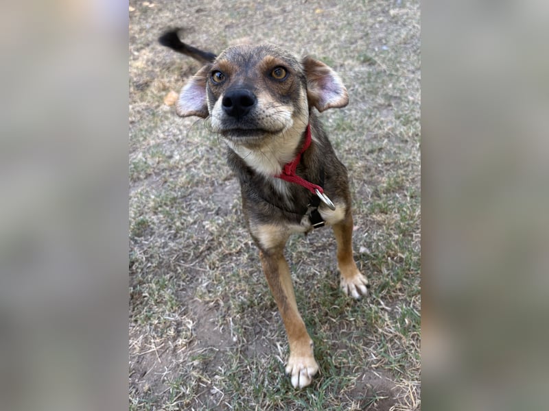 Nina - jung und verspielt - BEREITS IN DEUTSCHLAND