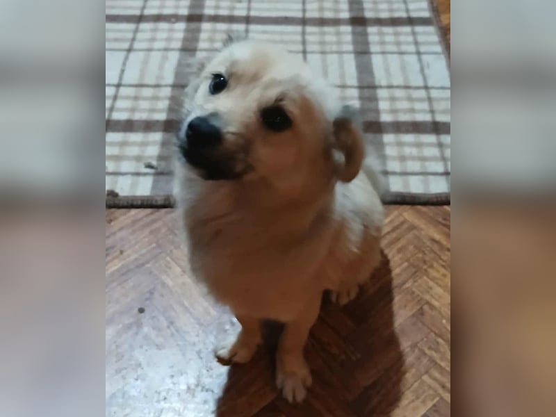 Jana -jung und neugierig