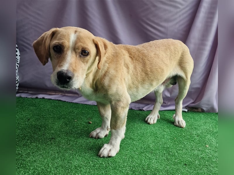 Ole - freundlich und neugierig Ole - freundlich und neugierig