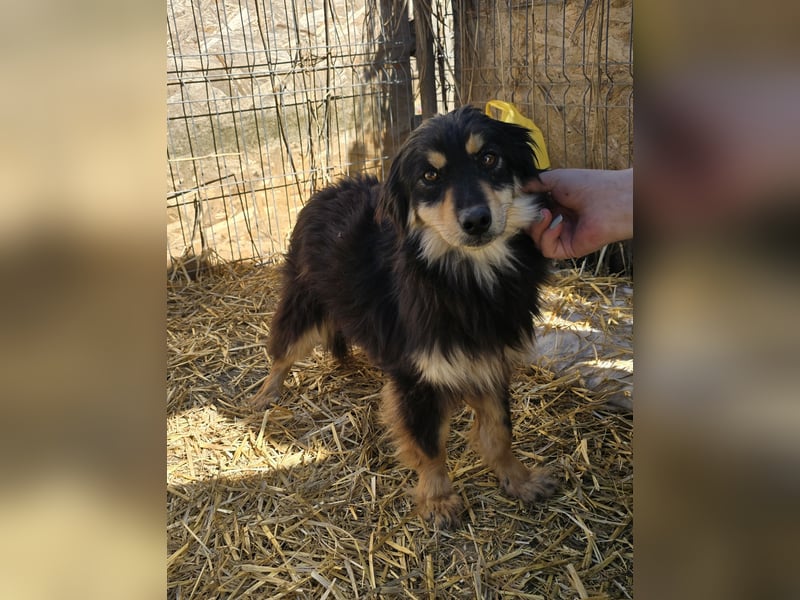 Lio - vorsichtig und neugierig