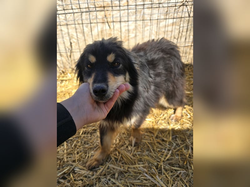 Lio - vorsichtig und neugierig