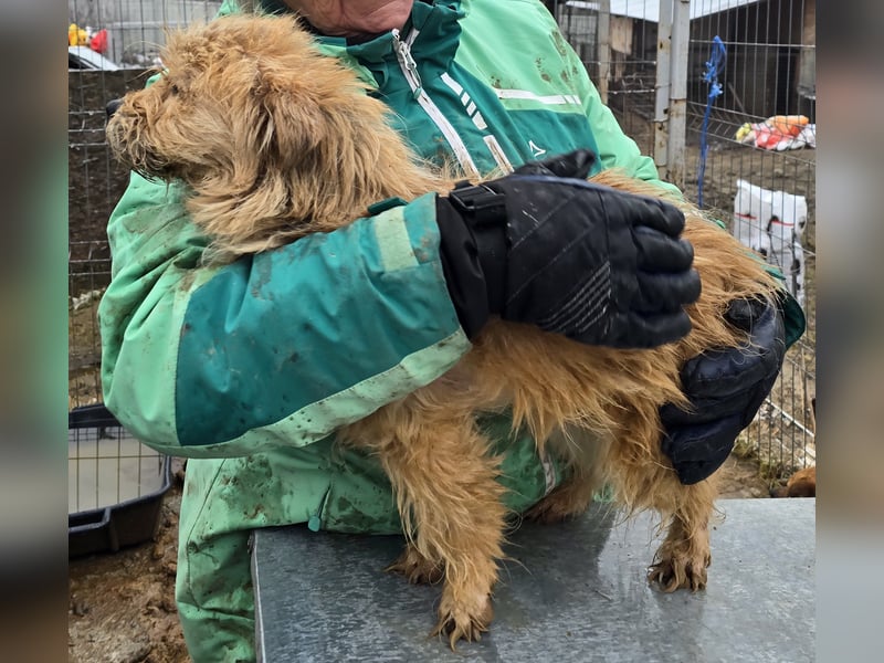 Betty - freundlich und neugierig