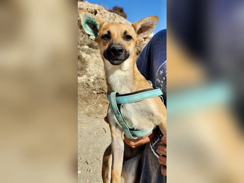 Margarita, aufmerksam, lernwillig und neugierig