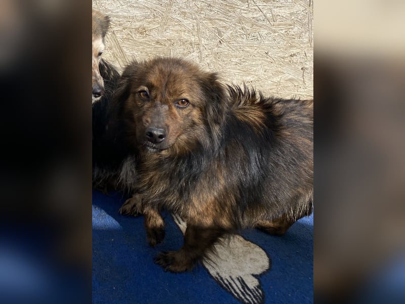 Jona - sanft und neugierig