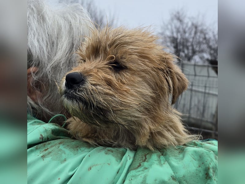 Betty - freundlich und neugierig
