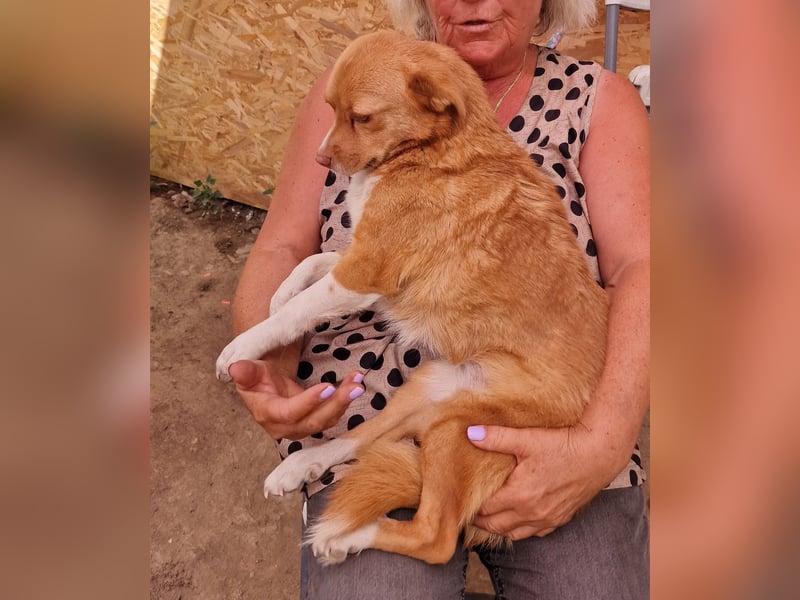 Ovana - freundlich und vorsichtig