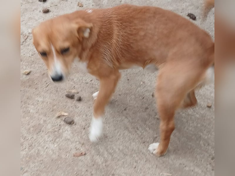 Boomer - neugierig und interessiert