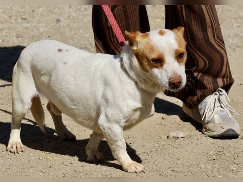 Kevin - verschmust, freundlich und aufgeweckt