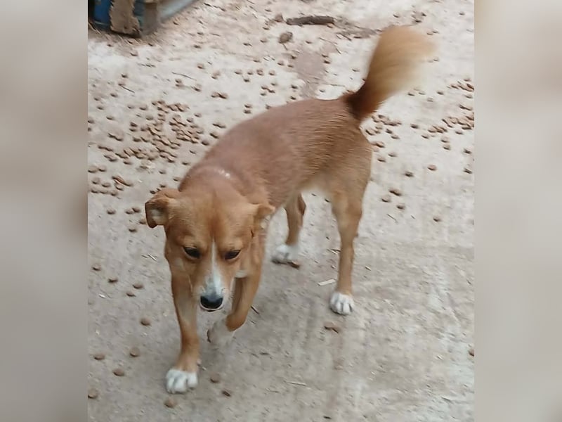 Boomer - neugierig und interessiert