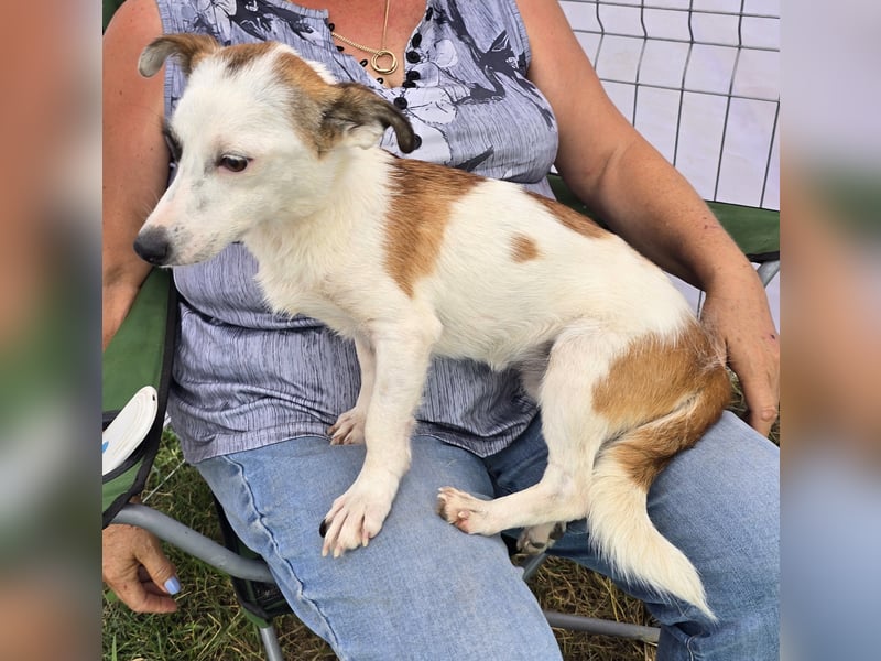 Minja - jung und verträglich