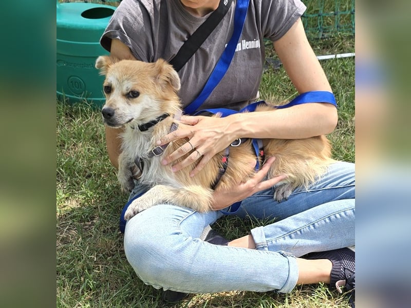 Lotte - gut verträglich - BEREITS IN DEUTSCHLAND