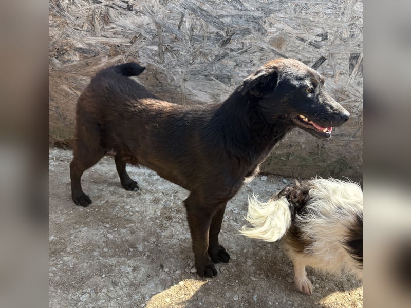 Mavie - freundlich und interessiert