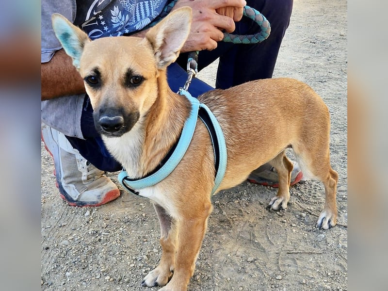 Margarita, aufmerksam, lernwillig und neugierig