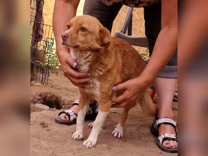 Ovana - freundlich und vorsichtig