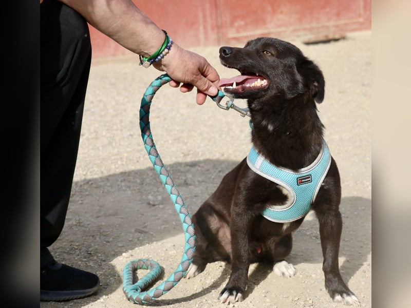 Arthur, neugierig, offen und freundlich