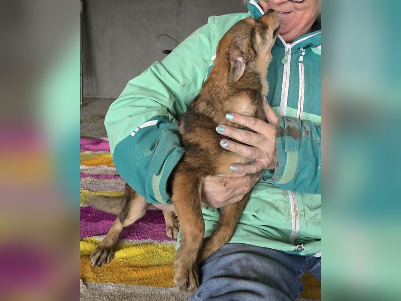 Nina - jung und neugierig