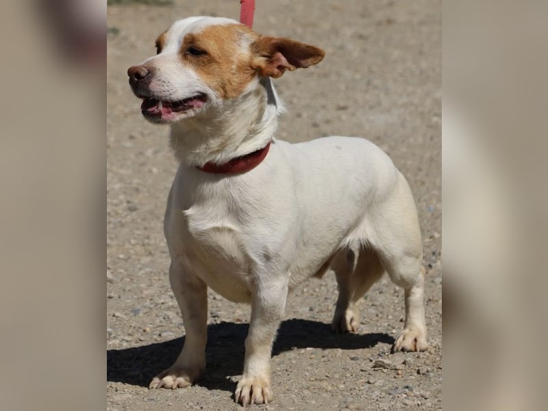 Kevin - verschmust, freundlich und aufgeweckt