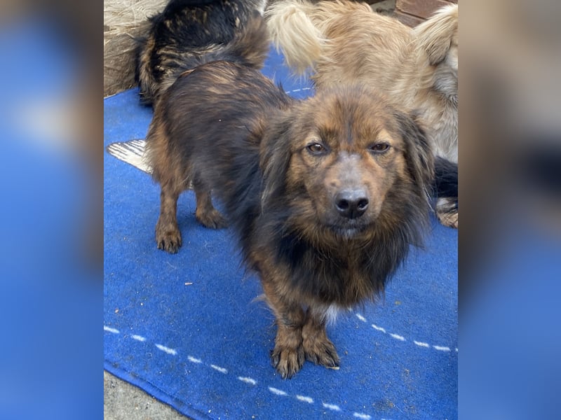 Jona - sanft und neugierig