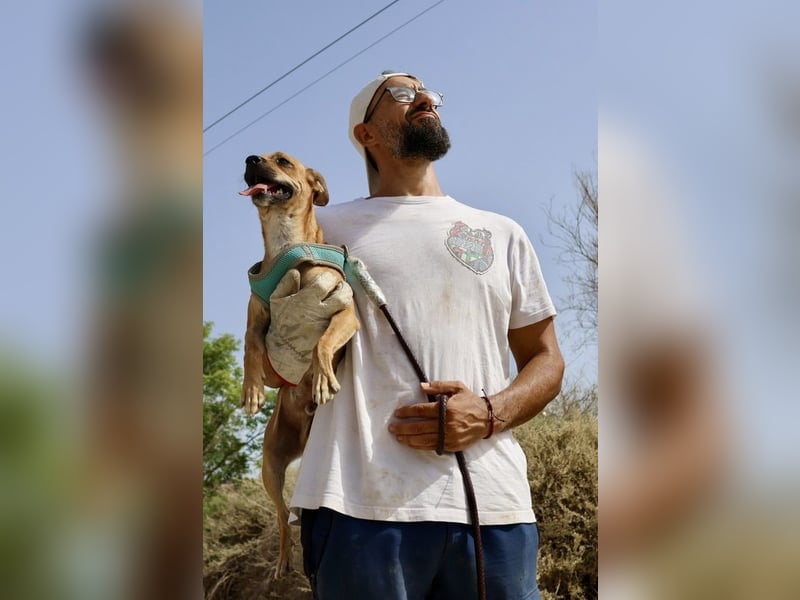 Ollie - lässt sich gerne anfassen, freundlich und aufmerksam