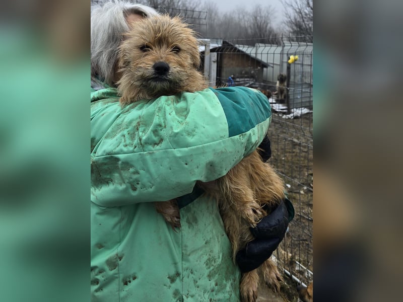Betty - freundlich und neugierig