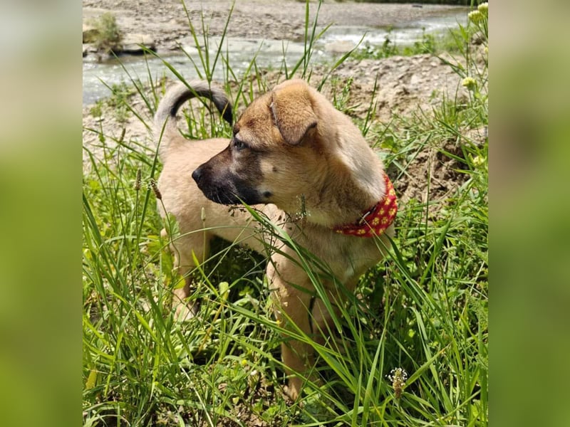 Zino - menschenbezogen und neugierig