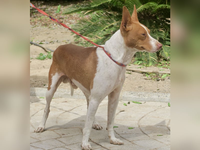 Genaro, bewegungsfreudig, lernwillig, respektvoll